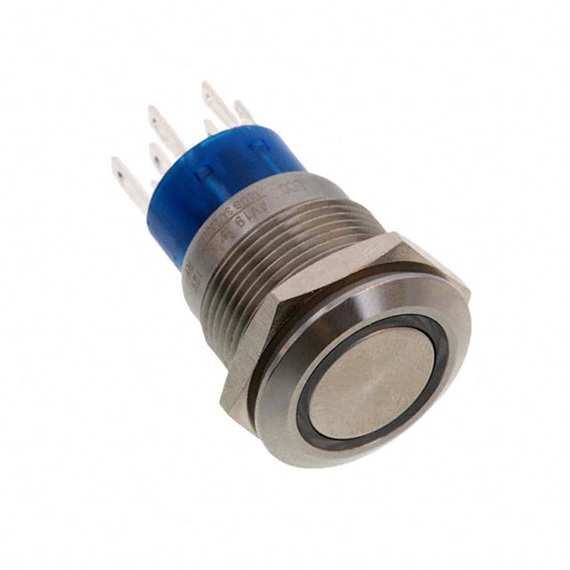 AV1920RG12Q04 SWITCH PUSHBUTTON DPDT 3A 250V