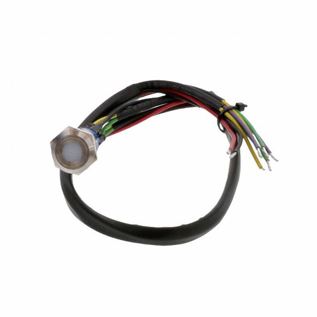 AV1920DG12T5Q04 SWITCH PUSHBUTTON DPDT 3A 250V