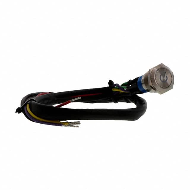AV1920PG12T5Q04 SWITCH PUSHBUTTON DPDT 3A 250V