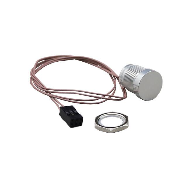 AVP16MAIOH000T5B04 SWITCH PUSHBUTTON SPST-NO 1A 24V