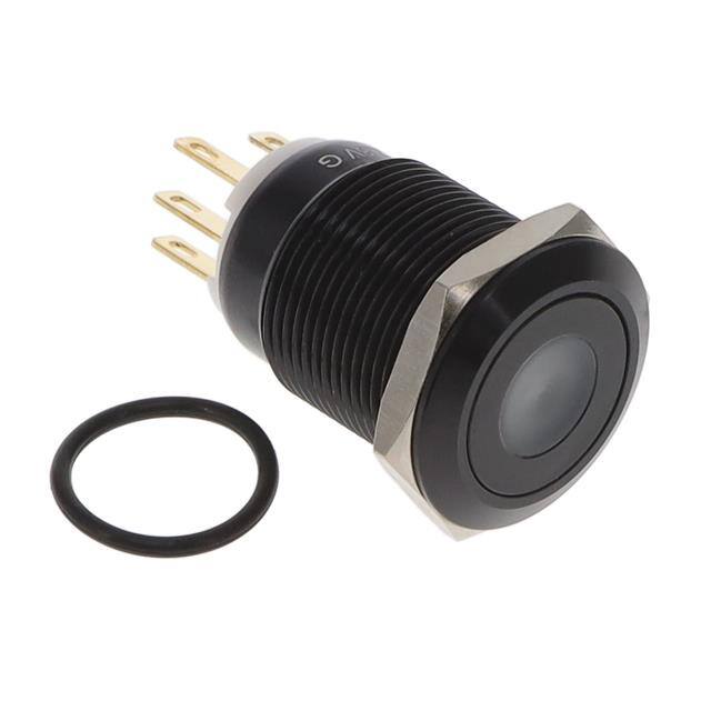 AH1NCBGN SWITCH PB DPST-NO/NC 1A 125V