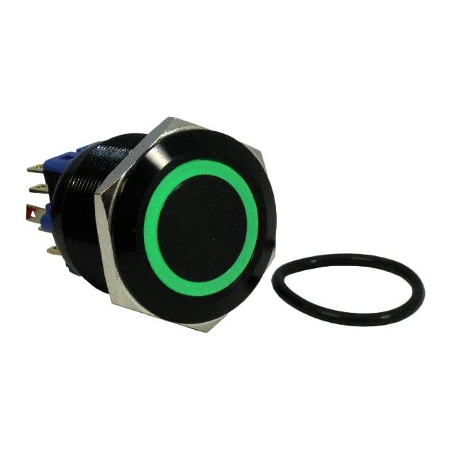 DH221NBBG24 SWITCH PB DPST-NO/NC 2A 125V