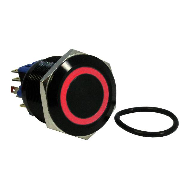 DH251NBBRN SWITCH PB DPST-NO/NC 2A 125V