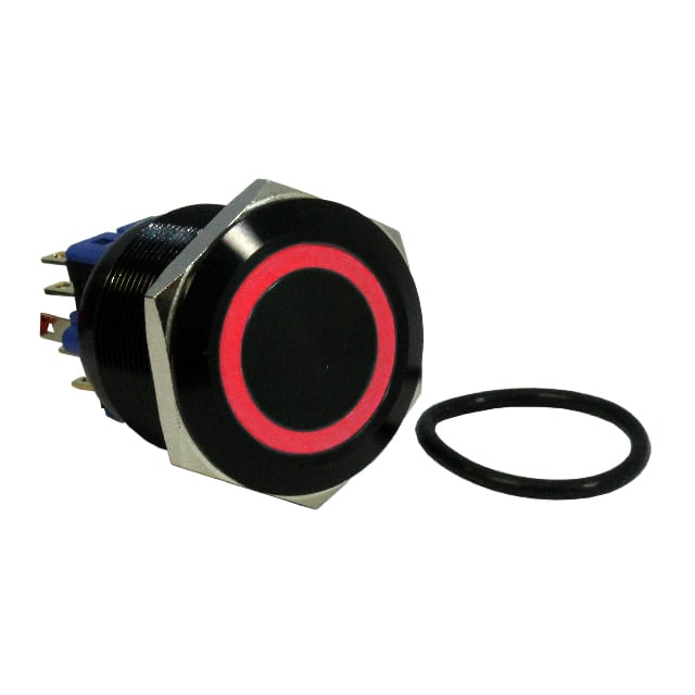 DH221LBBRG24 SWITCH PB DPST-NO/NC 2A 125V