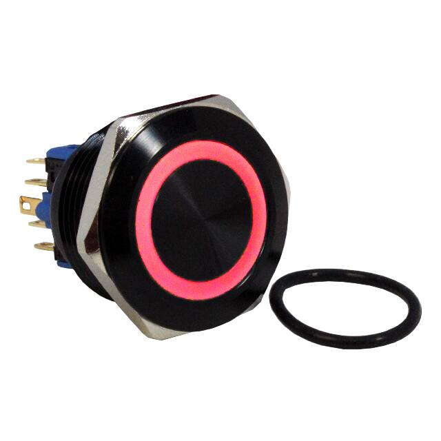 DH301NBBRG12 SWITCH PB DPST-NO/NC 2A 125V