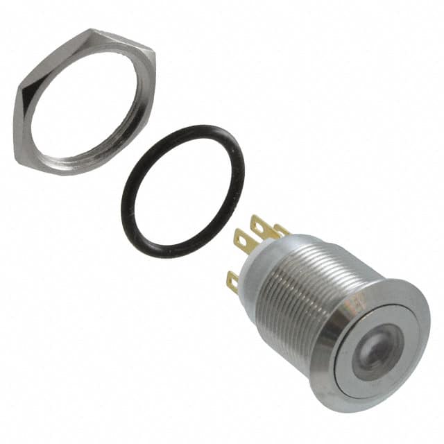 PV4F2Y0SS-211 SWITCH PUSHBUTTON DPST 2A 24V