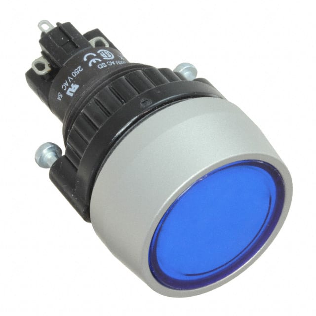 K14-131.121061 SWITCH PB DPST-NO/NC 5A 250V