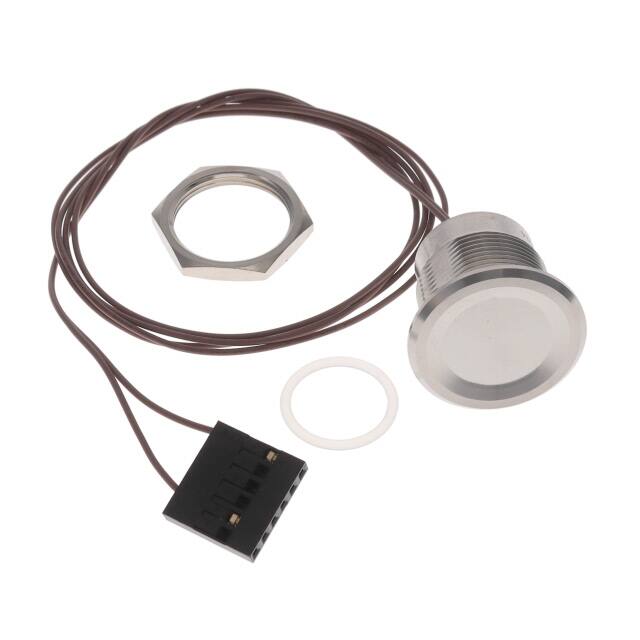 AVP19MS16C000T5A04 SWITCH PUSHBUTTON SPST-NO 1A 24V