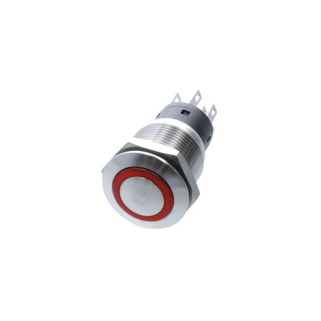 PD-2E-DC-9-RL ANTI VANDAL DPDT ON-(ON) - IP67