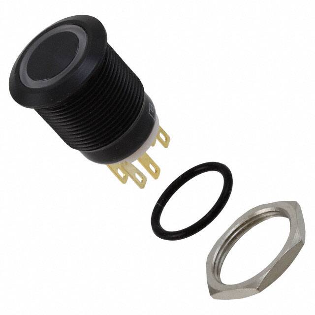 PV4F2Y011-345 SWITCH PUSHBUTTON DPST 2A 24V