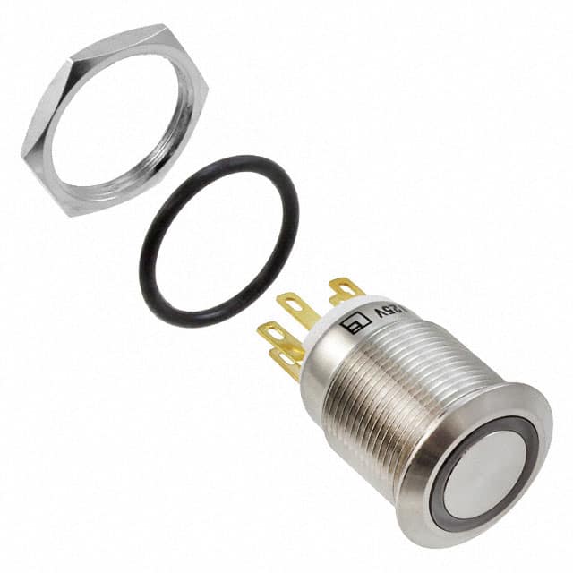 PV4F2Y0SS-316 SWITCH PUSHBUTTON DPST 2A 24V