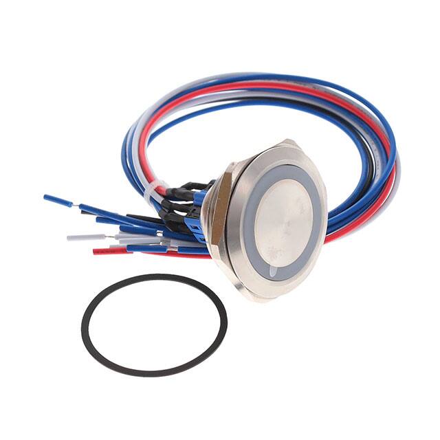 PV10FWV0SS-3K3 SWITCH PUSHBUTTON 4PST 2A 48V