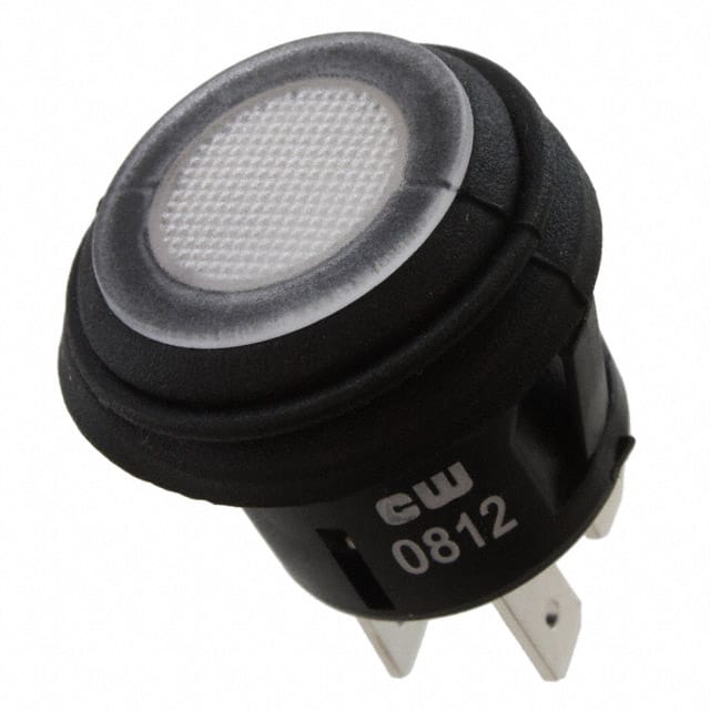 GPB527B202BW SWITCH PUSHBUTTON DPST 10A 125V