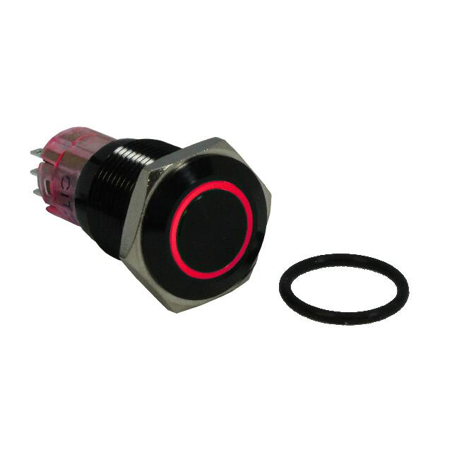 CH1LBBRGNS SWITCH PB SPDT 1A 125V