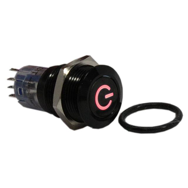 CH2NGBRGNS SWITCH PB DPDT 1A 125V