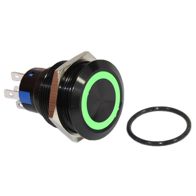 DH22U2NBBGN SWITCH PB DPDT 3A 125V