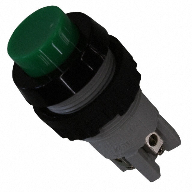 1.01.102.001/0507 SWITCH PUSH DPST-NO 2A 250V