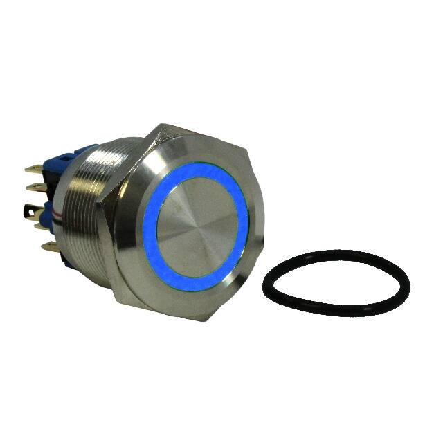 DH251NBSB12 SWITCH PB DPST-NO/NC 2A 125V