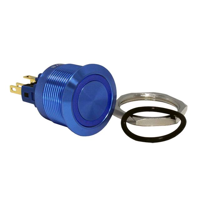DH221NBUB24 SWITCH PB DPST-NO/NC 2A 125V