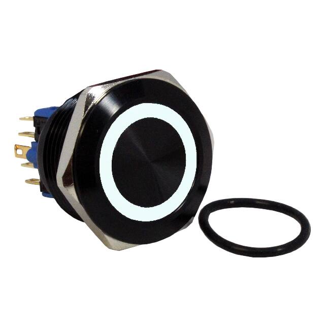DH301NBBWN SWITCH PB DPST-NO/NC 2A 125V