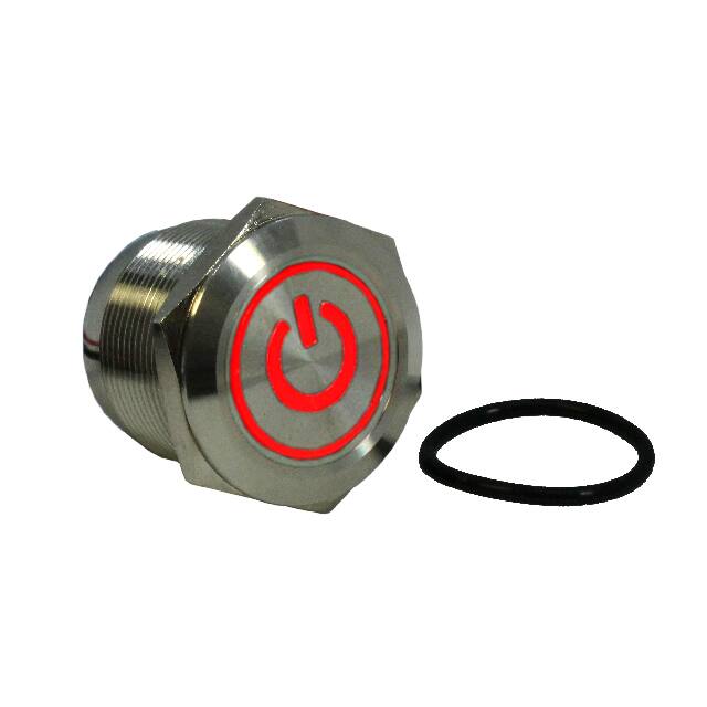 DH251LGSRG6T SWITCH PB DPST-NO/NC 2A 125V