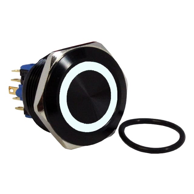 DH301LBBWN SWITCH PB DPST-NO/NC 2A 125V