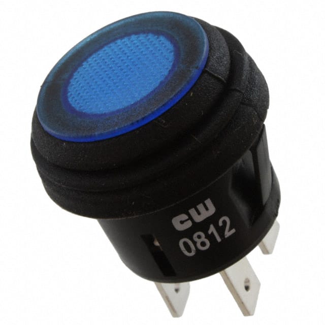 GPB527B202BU SWITCH PUSHBUTTON DPST 10A 125V