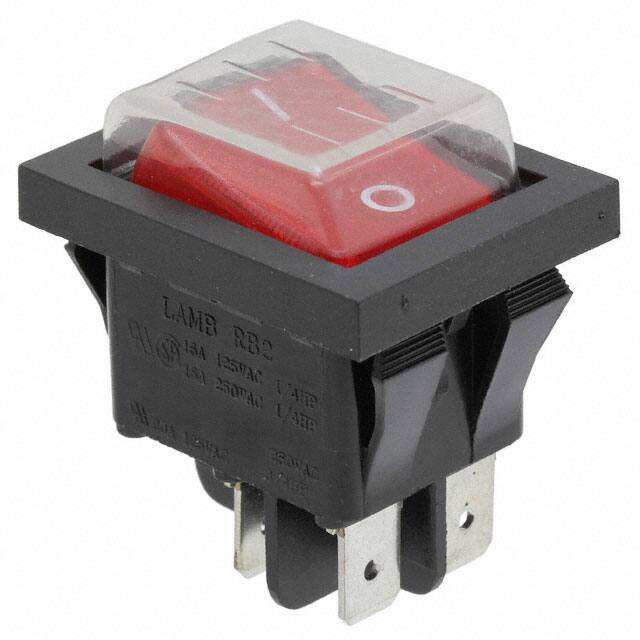 RB242D1021-117/ACC-F02-1 SWITCH ROCKER DPST 20A 125V