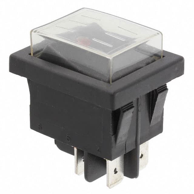 RB242C1100-216/ACC-F02-1 SWITCH ROCKER DPST 16A 125V