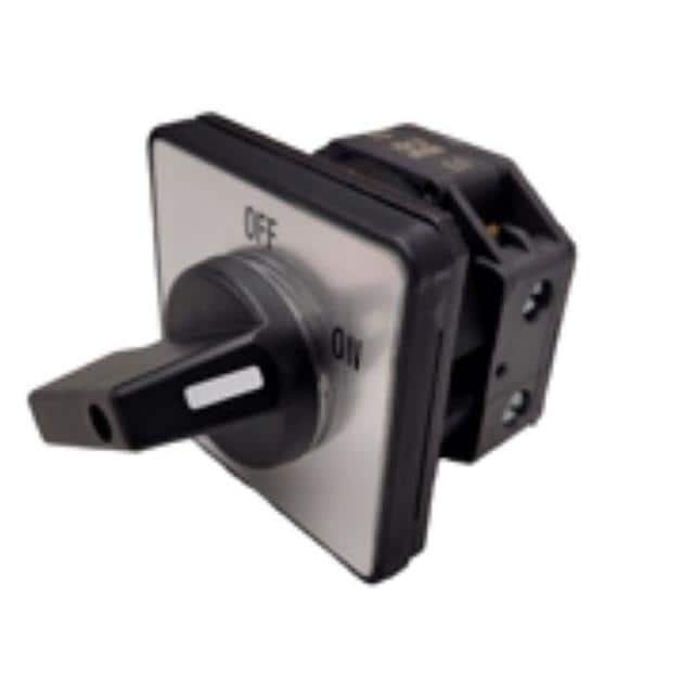 N33F E A2+003+G2 CAM SWITCH 60A OFF-ON 2P 4-HOLE