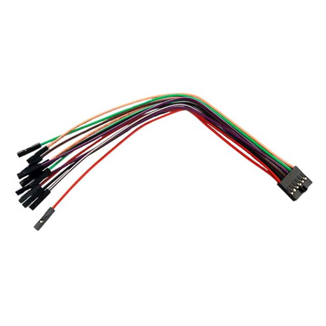 240-119 2X6 FLYWIRES: DIGITAL DISCOVERY