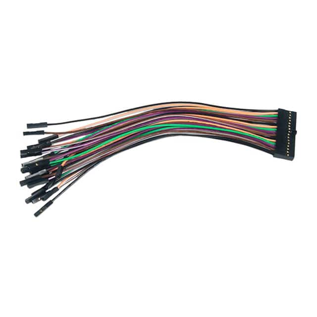 240-118 2X16 FLYWIRES: DIGITAL DISCOVERY