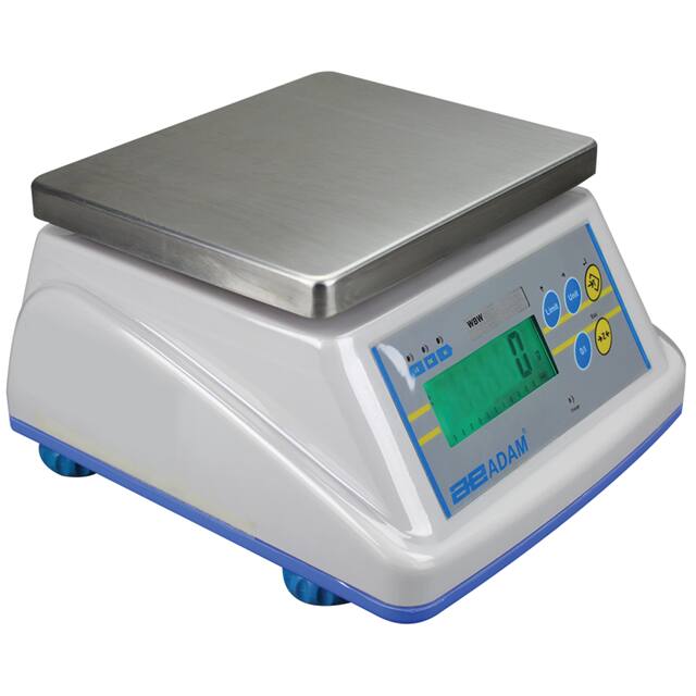 WBW 35A WEIGH SCALE WASHDOWN