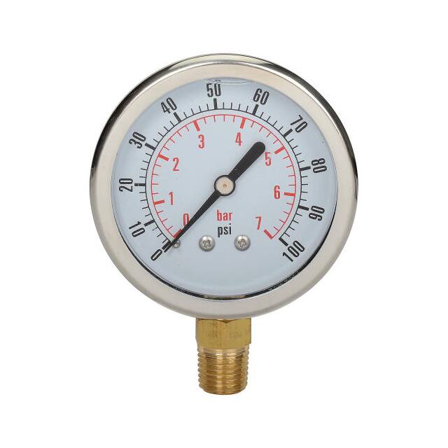 CF1P-007A DYNAMIC 2-1/2" DIAL, 100 PSI, FL