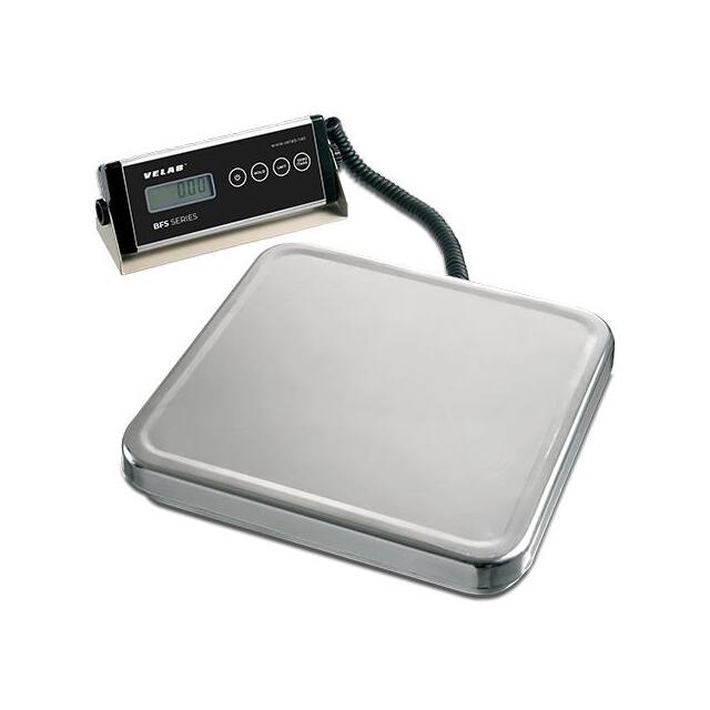 VE-BFS100 BENCH AND FLOOR SCALE