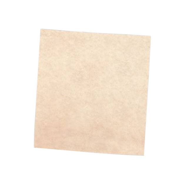 61500125556 CLEAN & FINISH SHEET FSFN