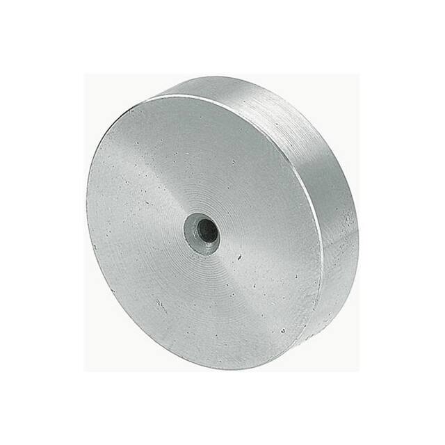 20990001092 POLISHING PUCK