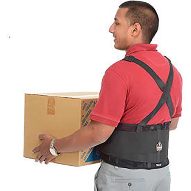 11384 PROFLEX 100 ECONOMY BACK SUPPORT