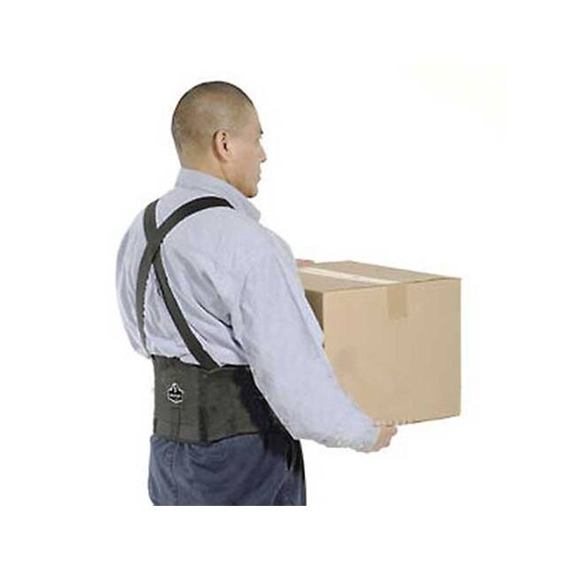 11096 PROFLEX 1650 ECONOMY BACK SUPPOR