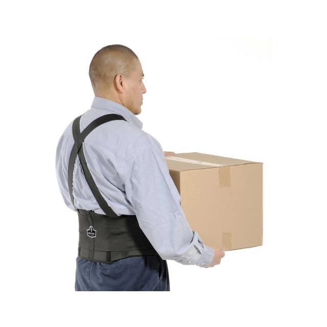 11095 PROFLEX 1650 ECONOMY BACK SUPPOR
