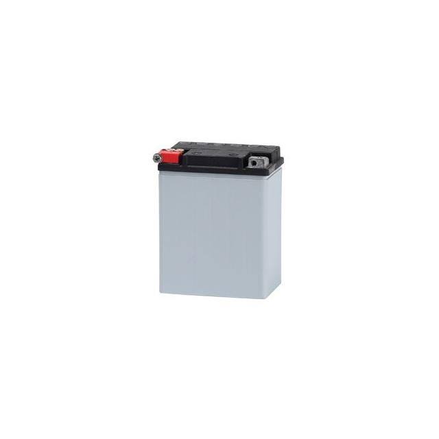 ETX15 12 VOLT POWER SPORT- MAGM BATTERY 12 MAH Replacement for Battery ETX15 12