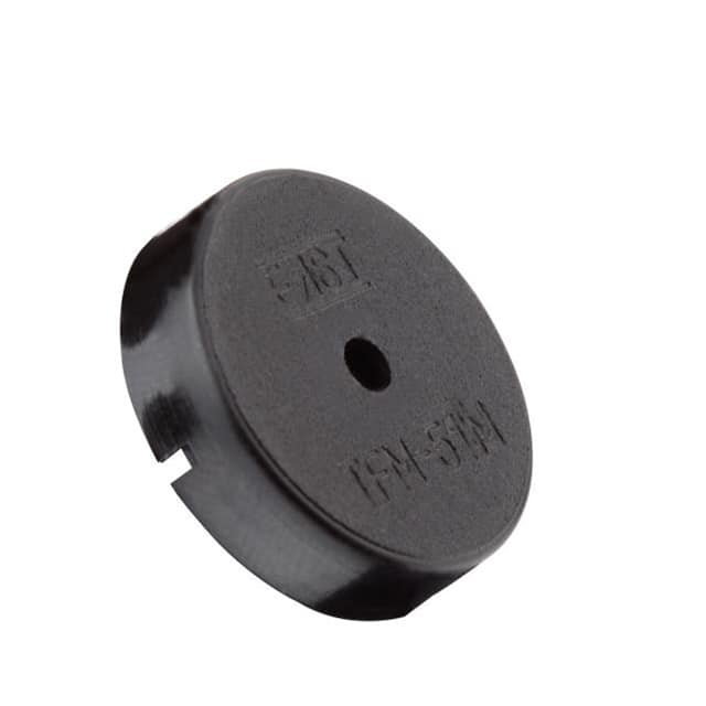TFM-51M BUZZER 10V 22MM TH