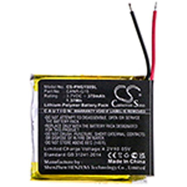 CS-PNG150SL Replacement for Cameron Sino CS-