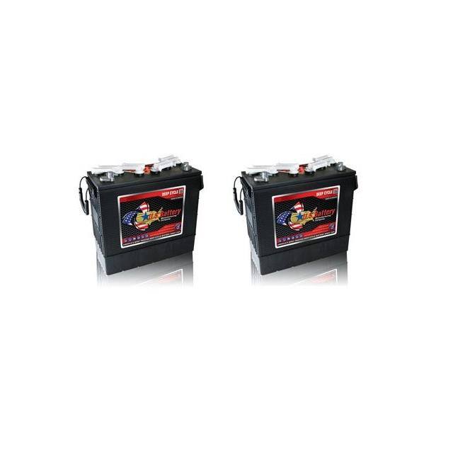 91WS 24 VOLTS 2 PACK Replacement for American-Lincoln