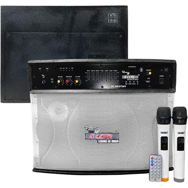 DESTINY Car Subwoofer Amplifier 40W