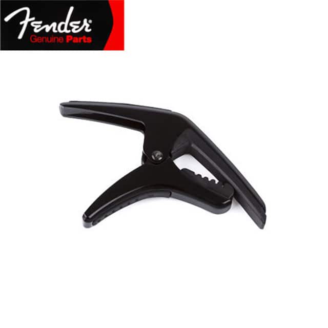 990413000 PHOENIX CAPO