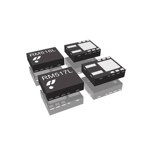 RM516L121A-E2 0.3 V ULTRA-LOW OUTPUT VOLTAGE 1