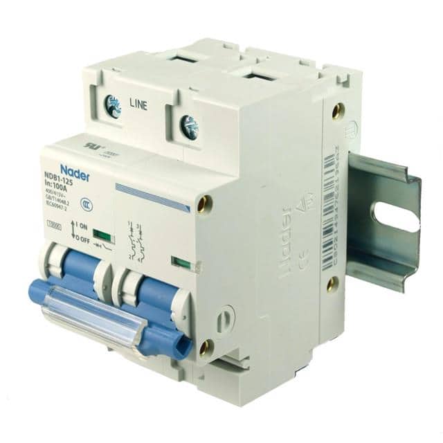 NDB1-125C100-2 A high current two pole 100 amp