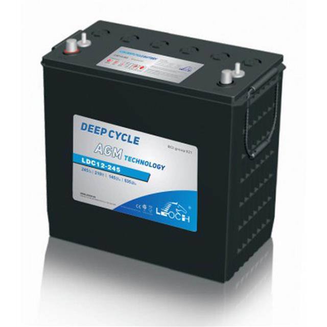 LDC12-245 Replacement for Leoch LDC12-245