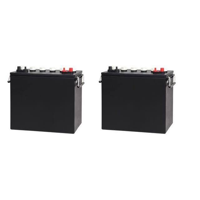 WW-ZFQ7-5-2600 24 VOLTS 2 PACK Replacement for Tomcat 2600 24 V